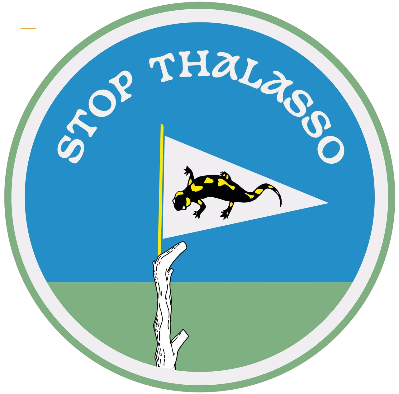 logo salamandre