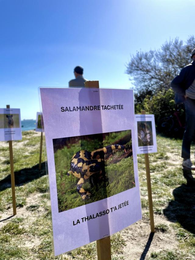 images/photos/journee_du_30_mars/30-03_5.jpg